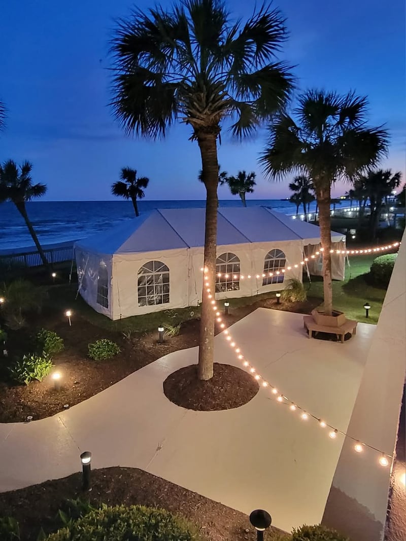 Beachfront event tent with palm trees and string lights at dusk, ocean view beyond
