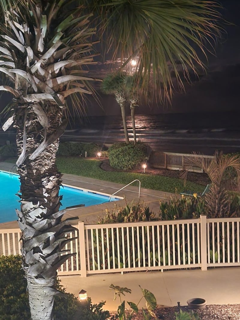 Nighttime view of illuminated pool and waterfront with palm trees and white railing