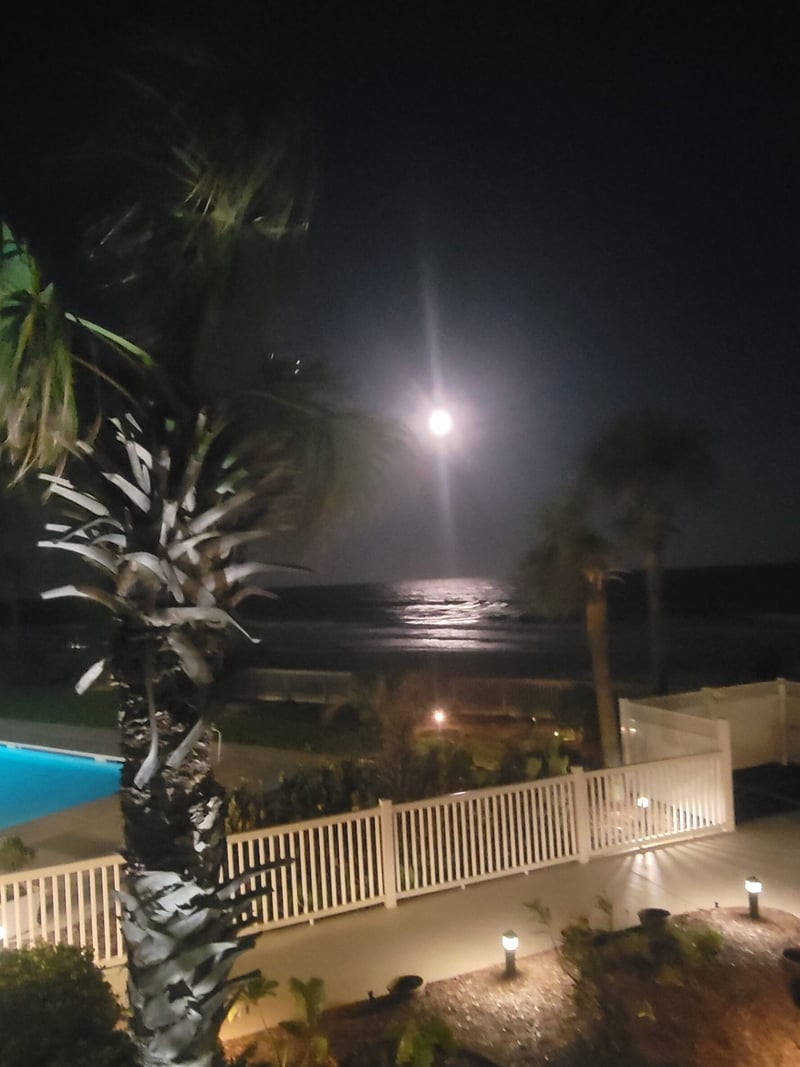 Nighttime oceanfront deck with white railing, palm tree, and moonlit water view