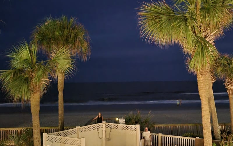 Nighttime beach view with illuminated palm trees, wooden deck, and people on dark sand near ocean