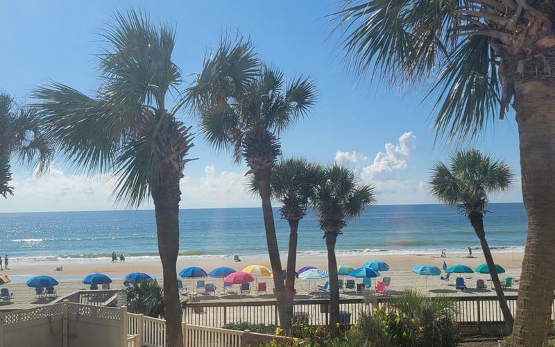 Beach view with palm trees, colorful umbrellas, and wooden deck railing overlooking ocean