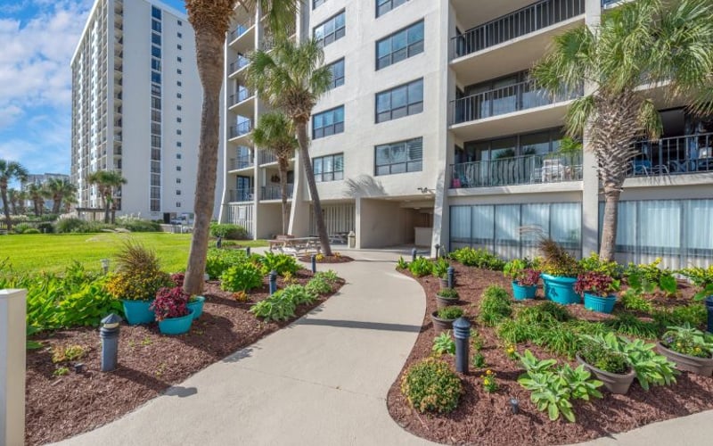 Modern beachfront apartment building with palm trees, landscaped gardens, and concrete walkway entrance