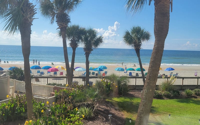 Beach view with palm trees, wooden boardwalk, colorful umbrellas, and beachgoers along sandy shore