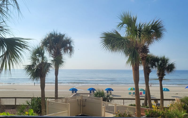 Beach view with palm trees, wooden deck railing, blue umbrellas, and ocean horizon under clear sky