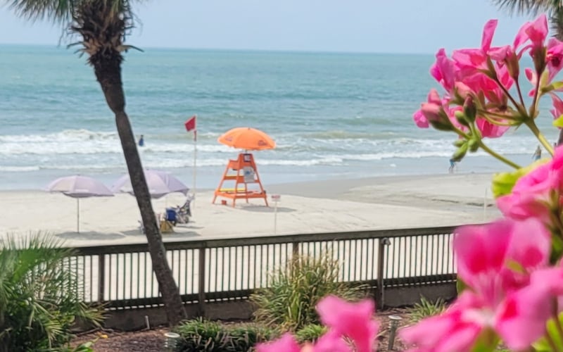 Beach view from deck with pink flowers, palm tree, lifeguard tower, and umbrellas on sand