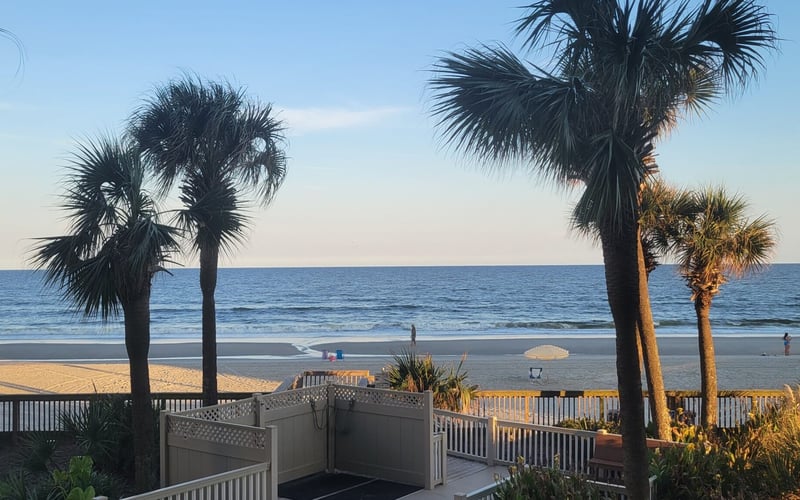 Oceanfront deck with palm trees overlooking sandy beach and calm blue water